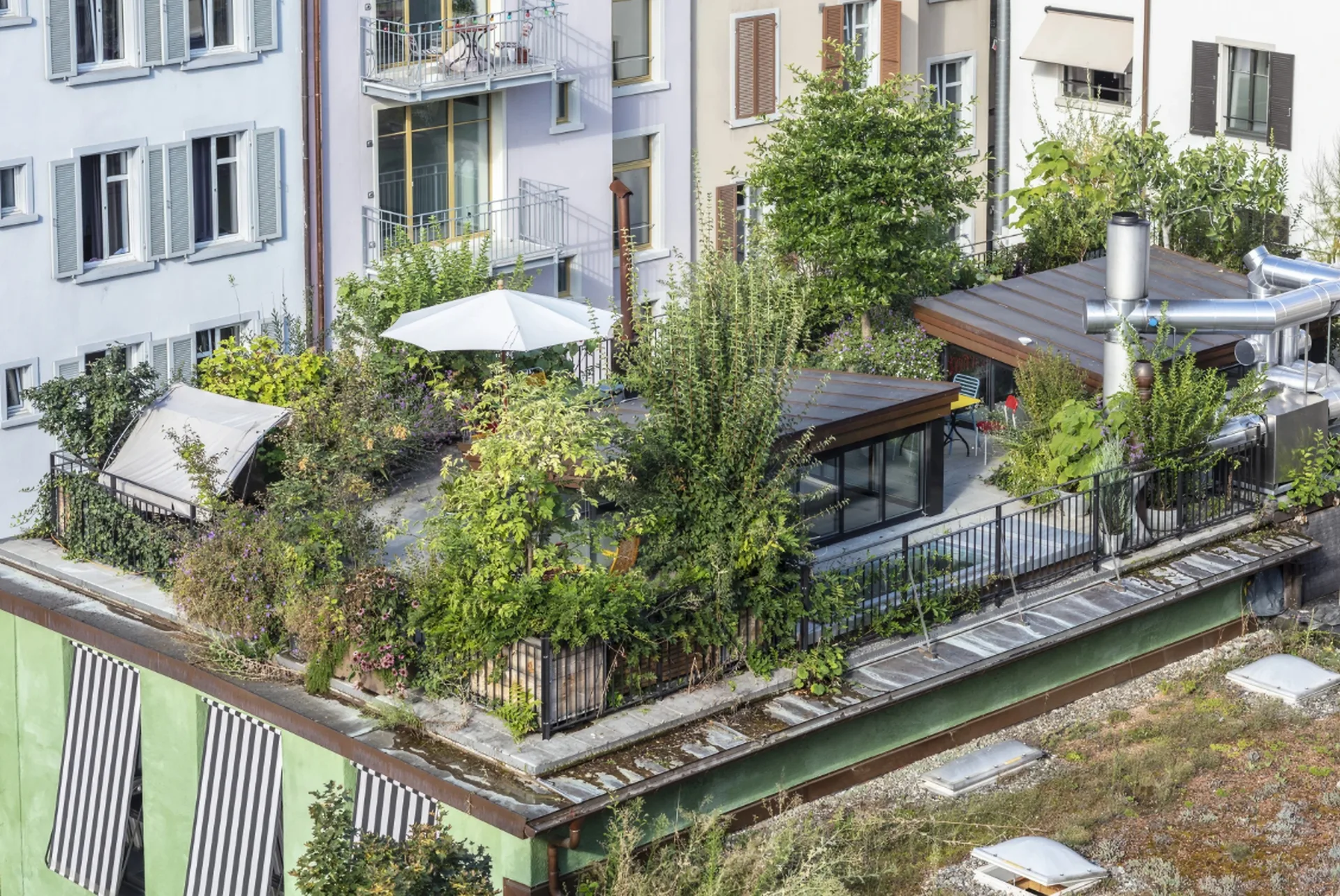 Begrünte Dachterrasse zwischen den Nachbarhäusern